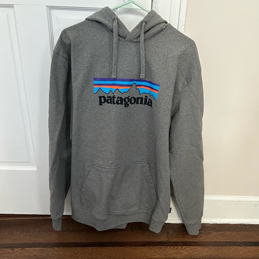 Patagonia Sweatshirt